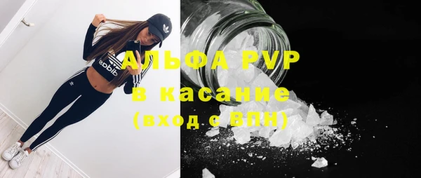 индика Аркадак