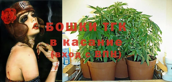 индика Аркадак