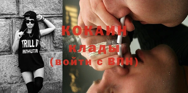 индика Аркадак