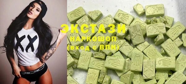 индика Аркадак