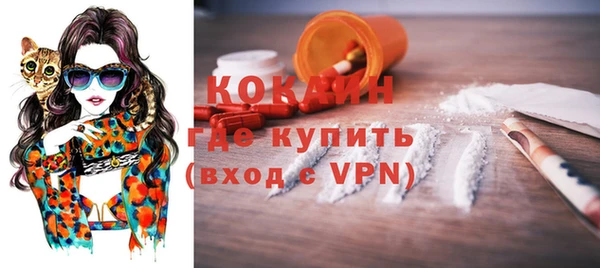индика Аркадак